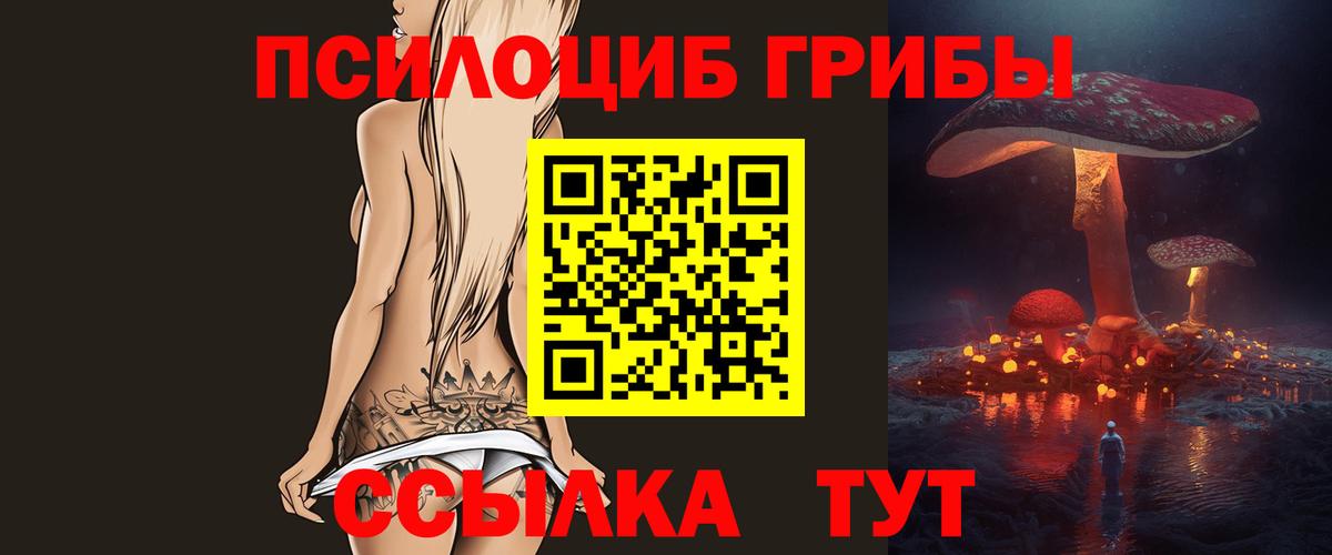 Галлюциногенные грибы мицелий Заречный