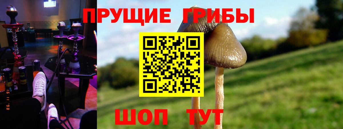 Галлюциногенные грибы Magic Shrooms  Вход с VPN  Заречный 